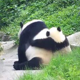 豆友184128201