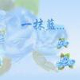 蓝羽芈阡