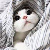 ★小太阳