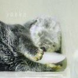 铃铃铛铛