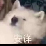 魔法少女奎桑提