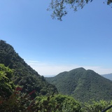 运气好子