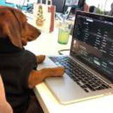 这个字我不会写