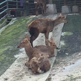 珍惜