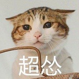 怂的一匹