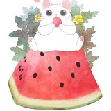 撸猫猫