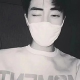 青鲤