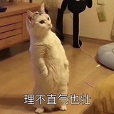 夏小米马甲