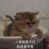 大眼萌妹子