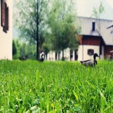 hope_shuo