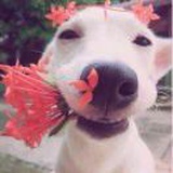 拎包机器