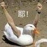 霹雳少女韩砒霜