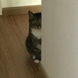 莫名