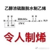 会狼叫的电脑