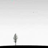 空