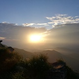 小小牛life