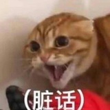 青春靓丽美少女