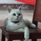 点点点点