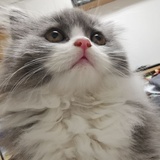 ze