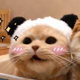 季元°