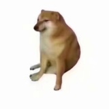 我请你吃肉