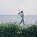 沐沐