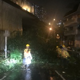 豆友184765770