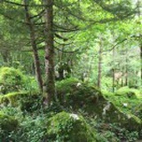 孙建红