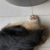 尽善尽美