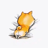 小猴子