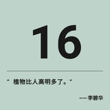 momo(周末限定)