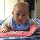 杨涛