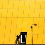MrXy_VII