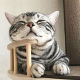 Nick小李飞刀