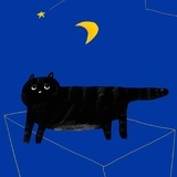 狂野的猪