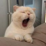 yoooojy