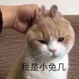 辞旧月