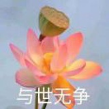 猪唇一点红
