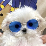 aowu