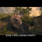 得失之间