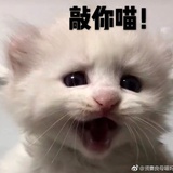 哎呦正一
