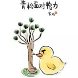 是多边形呀