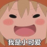 猫大哥啊猫大哥