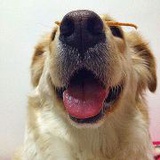 小斧子是我呀