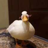 美美美翻天