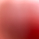 豆友1850907131