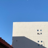 玫瑰与晨露