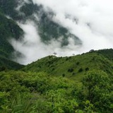 拼搏的兔子828