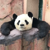 陶陶闲人