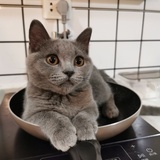 佳啊佳全球购